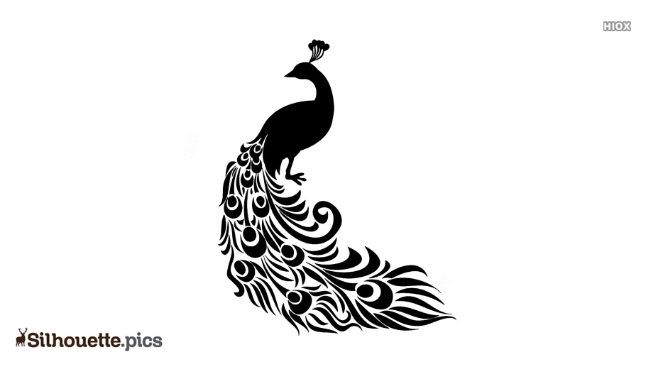 Detail Peacock Feather Vector Nomer 19