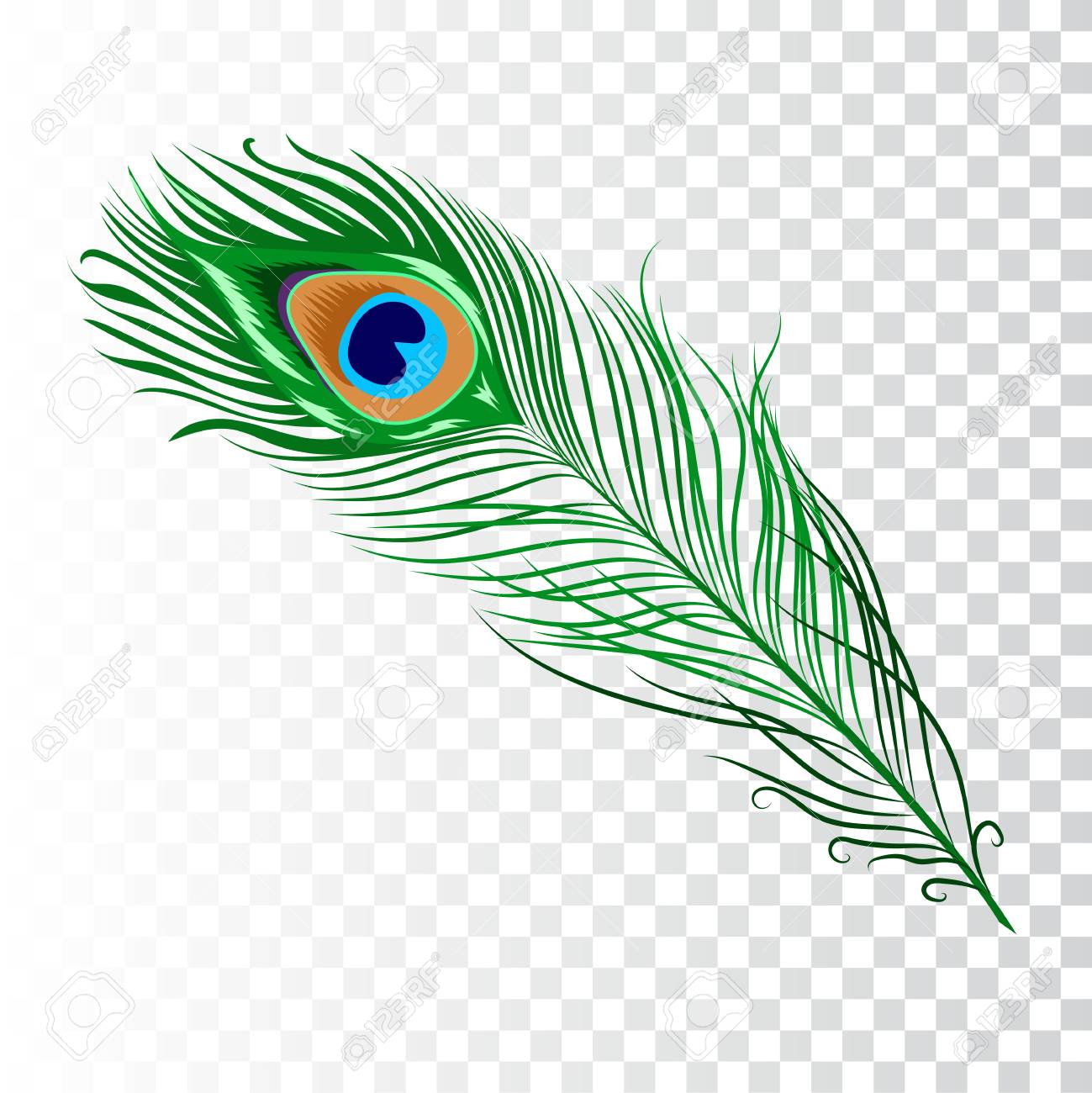Detail Peacock Feather Vector Nomer 3