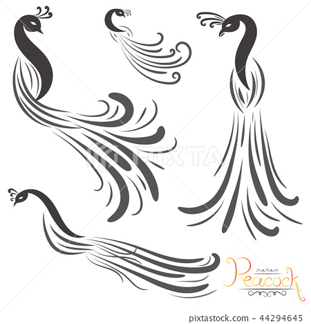 Detail Peacock Feather Vector Nomer 23