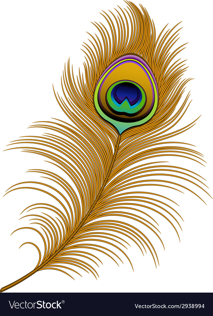 Detail Peacock Feather Vector Nomer 27