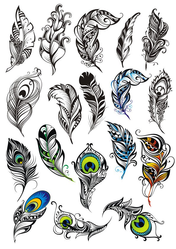 Detail Peacock Feather Vector Nomer 28