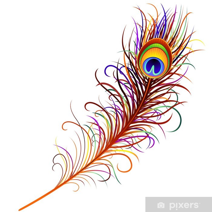 Detail Peacock Feather Vector Nomer 33