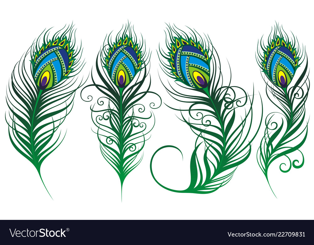 Detail Peacock Feather Vector Nomer 34