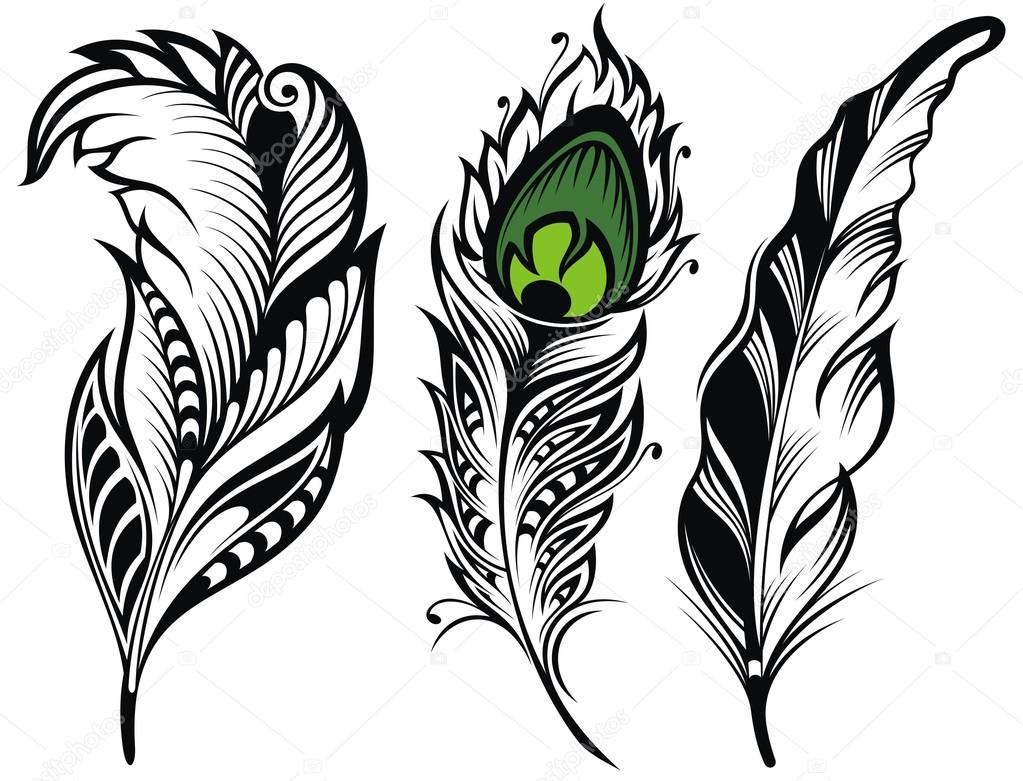 Detail Peacock Feather Vector Nomer 42