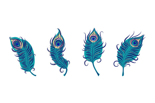 Detail Peacock Feather Vector Nomer 43