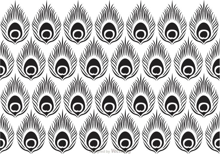 Detail Peacock Feather Vector Nomer 45