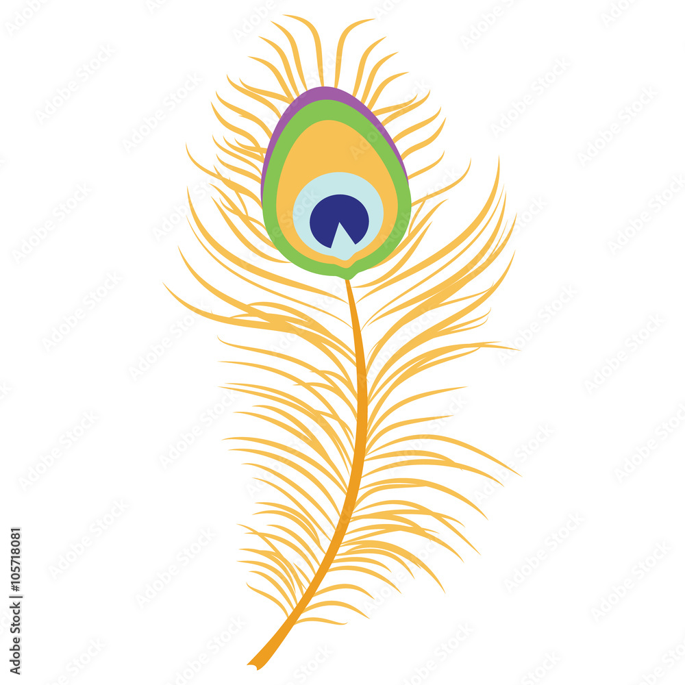 Detail Peacock Feather Vector Nomer 49