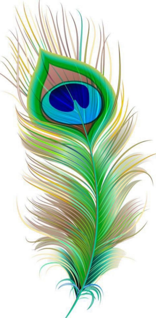 Detail Peacock Feather Wallpaper Nomer 41