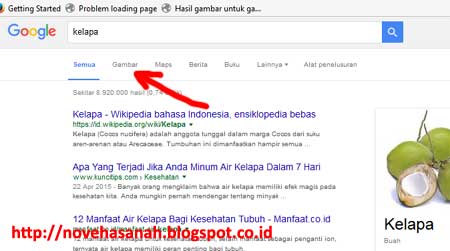 Detail Pencari Gambar Google Nomer 24