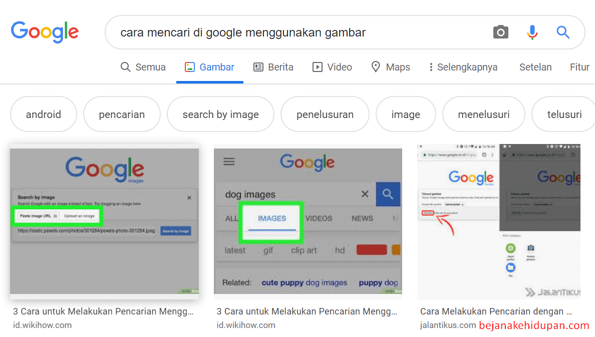 Detail Pencari Gambar Google Nomer 6