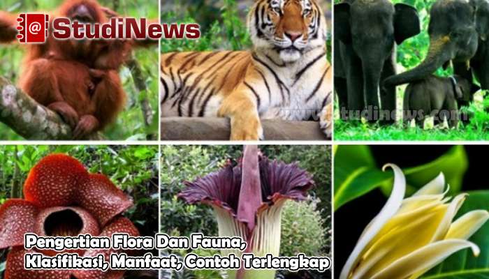 Detail Pengertian Gambar Flora Fauna Dan Alam Benda Nomer 17