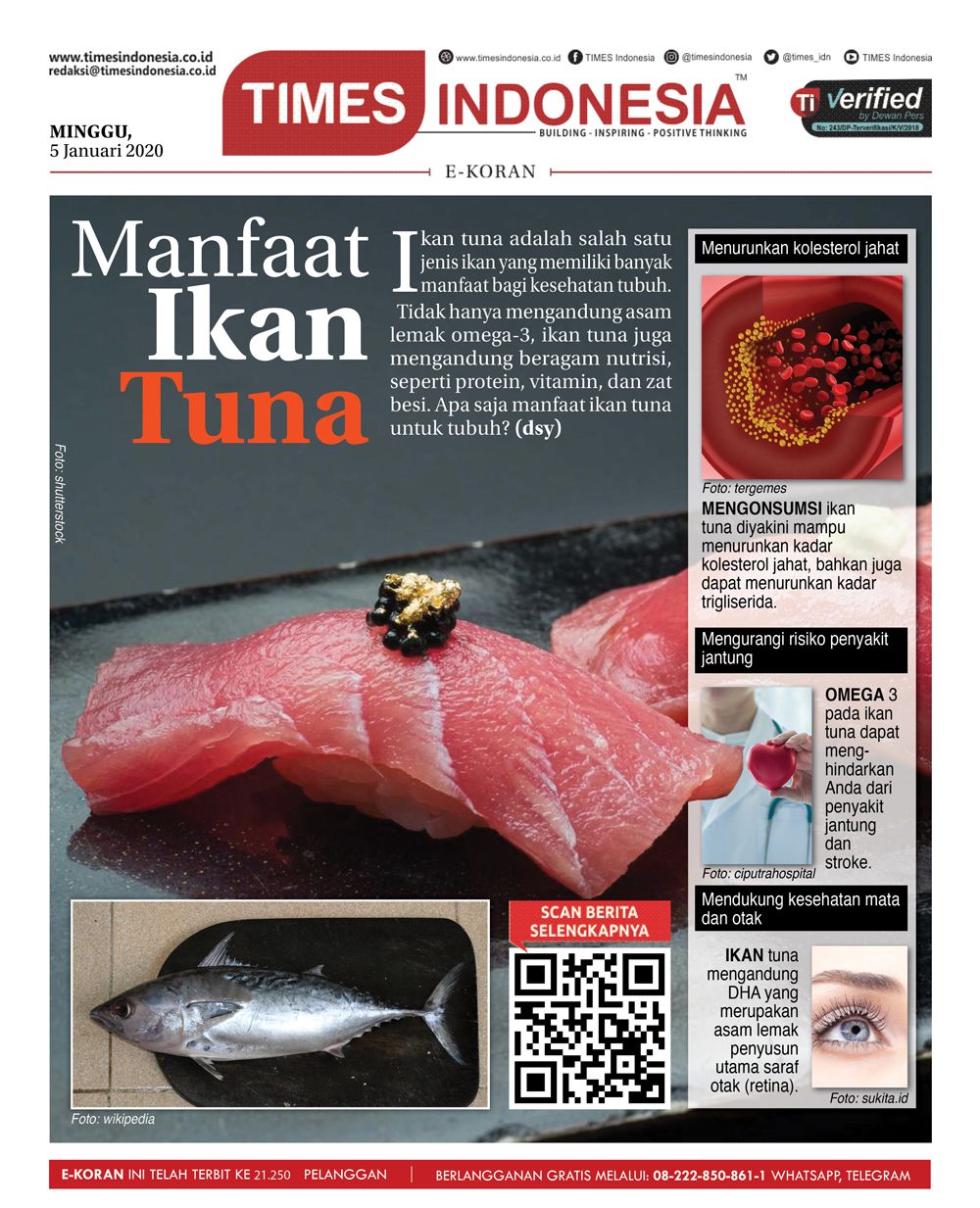 Detail Pengertian Ikan Tuna Beserta Gambar Nomer 55
