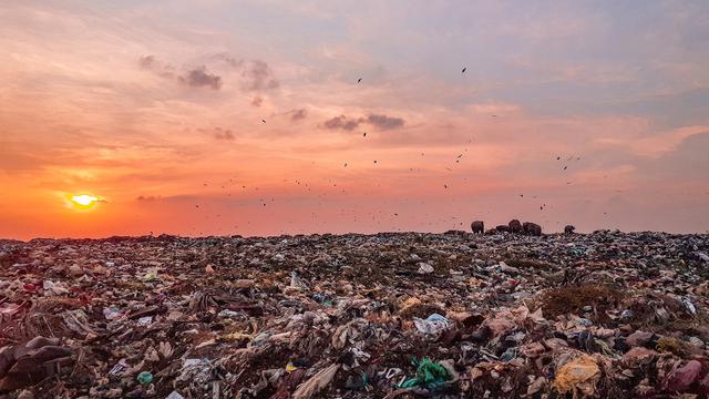 Detail Pengertian Pencemaran Tanah Beserta Gambar Nomer 7