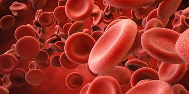 Detail Pengertian Sel Darah Merah Gambar Hati Manusia Nomer 3