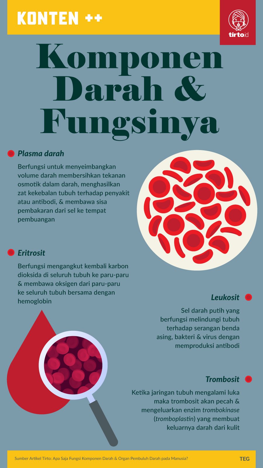 Detail Pengertian Sel Darah Merah Gambar Organ Tubuh Manusia Nomer 9