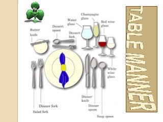 Detail Pengertian Table Set Up Nomer 40