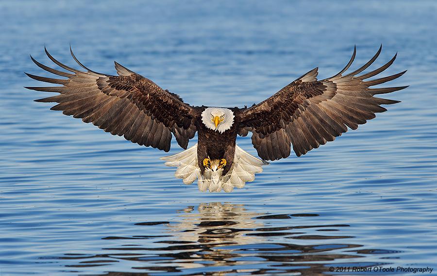 Detail Pengertian Tari Manuk Dadali Nomer 35