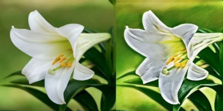 Detail Penghalus Gambar Untuk Photoshop Nomer 20