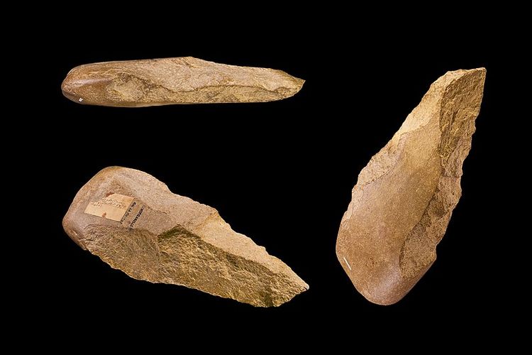 Detail Peninggalan Zaman Mesolithikum Beserta Gambar Nomer 2