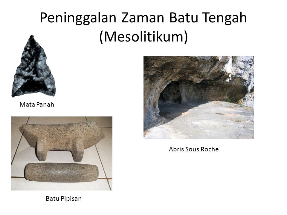 Detail Peninggalan Zaman Mesolithikum Beserta Gambar Nomer 17