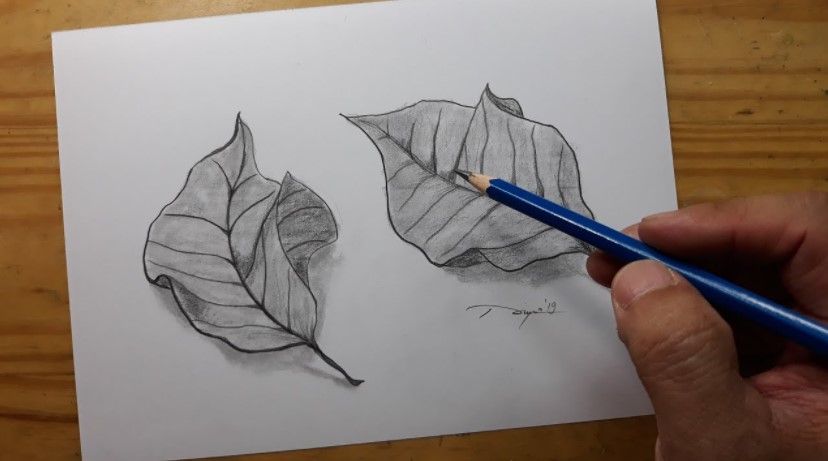 Detail Pensil Untuk Menggambar Ilustrasi Adalah Nomer 20