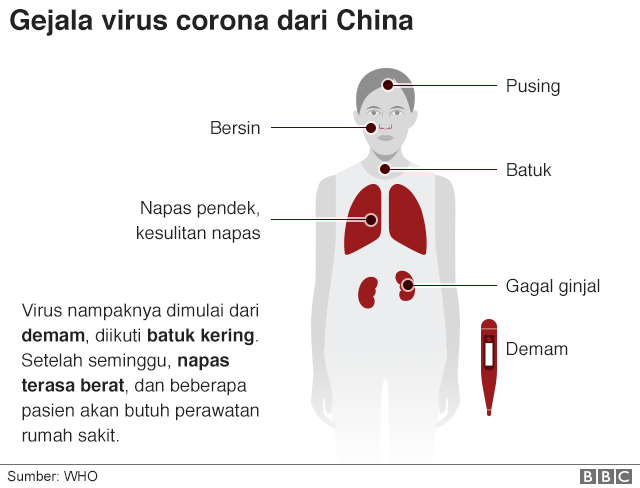 Detail Penyakit Yang Disebabkan Oleh Virus Pada Manusia Dan Penjelasannya Gambar Nomer 8