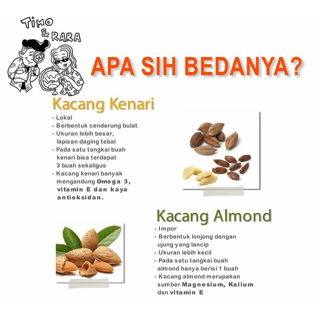 Detail Perbedaan Kacang Kenari Dan Almond Nomer 7