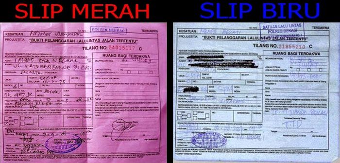 Detail Perbedaan Surat Tilang Merah Dan Biru Nomer 42