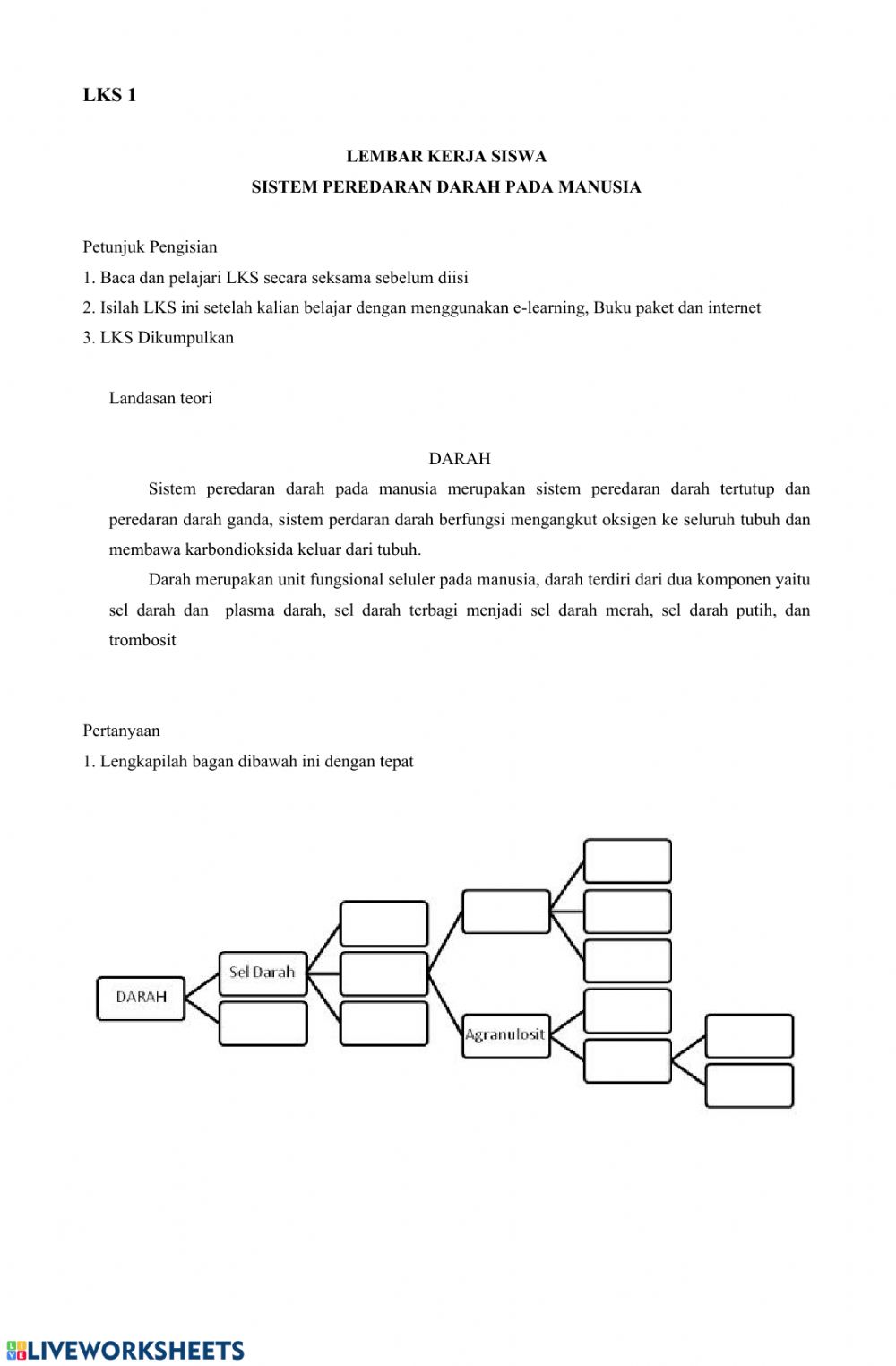 Detail Peredaran Darah Beserta Gambar Nomer 26