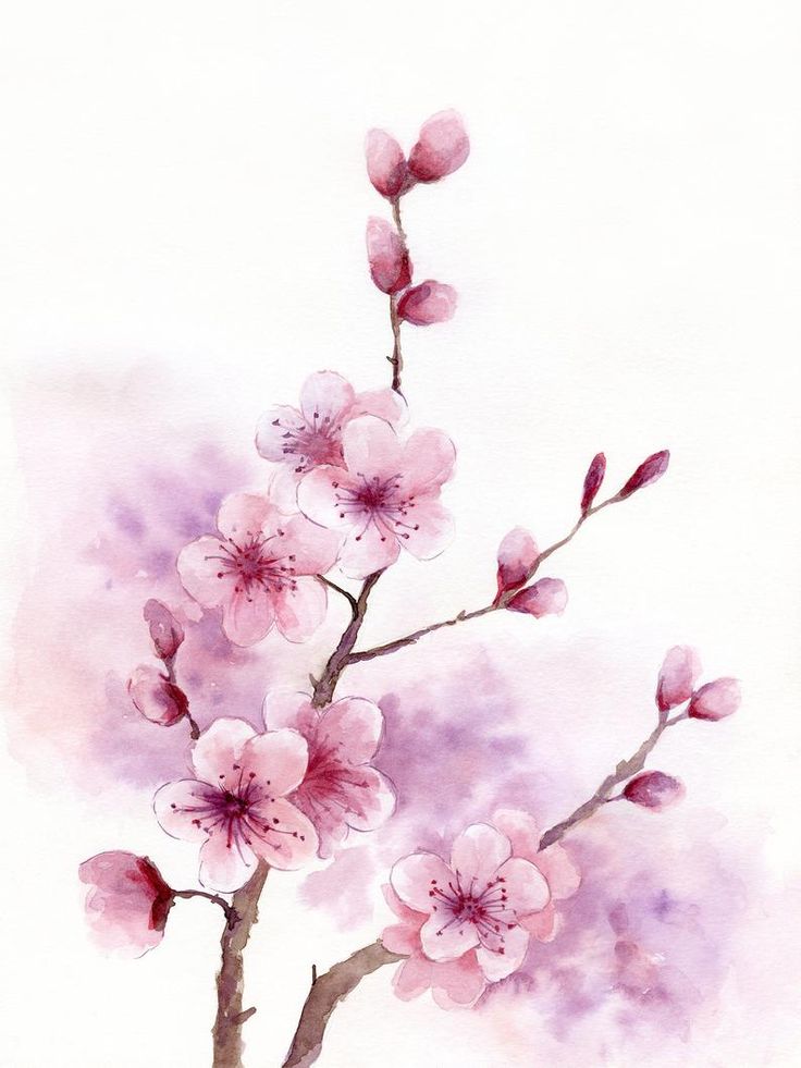 Detail Perfect Cherry Blossom Download Nomer 18