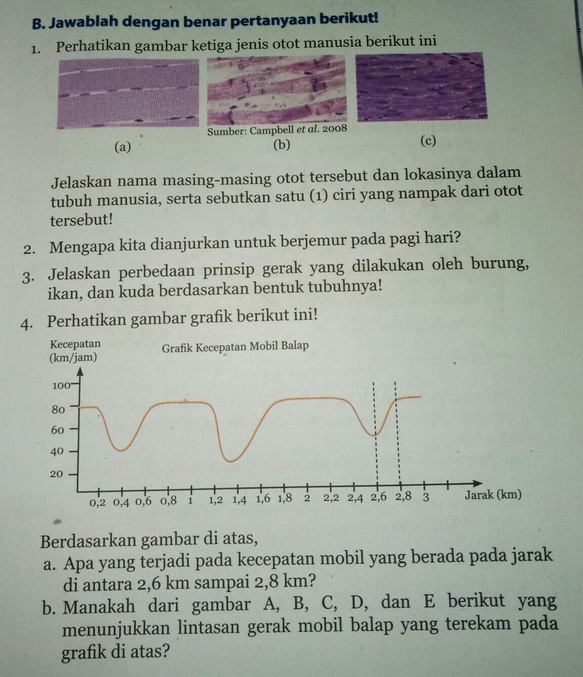 Detail Perhatikan Gambar Berikut Ipa Nomer 5