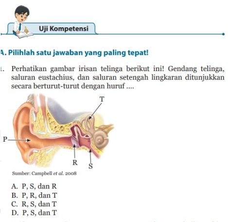 Detail Perhatikan Gambar Berikut Ipa Nomer 44