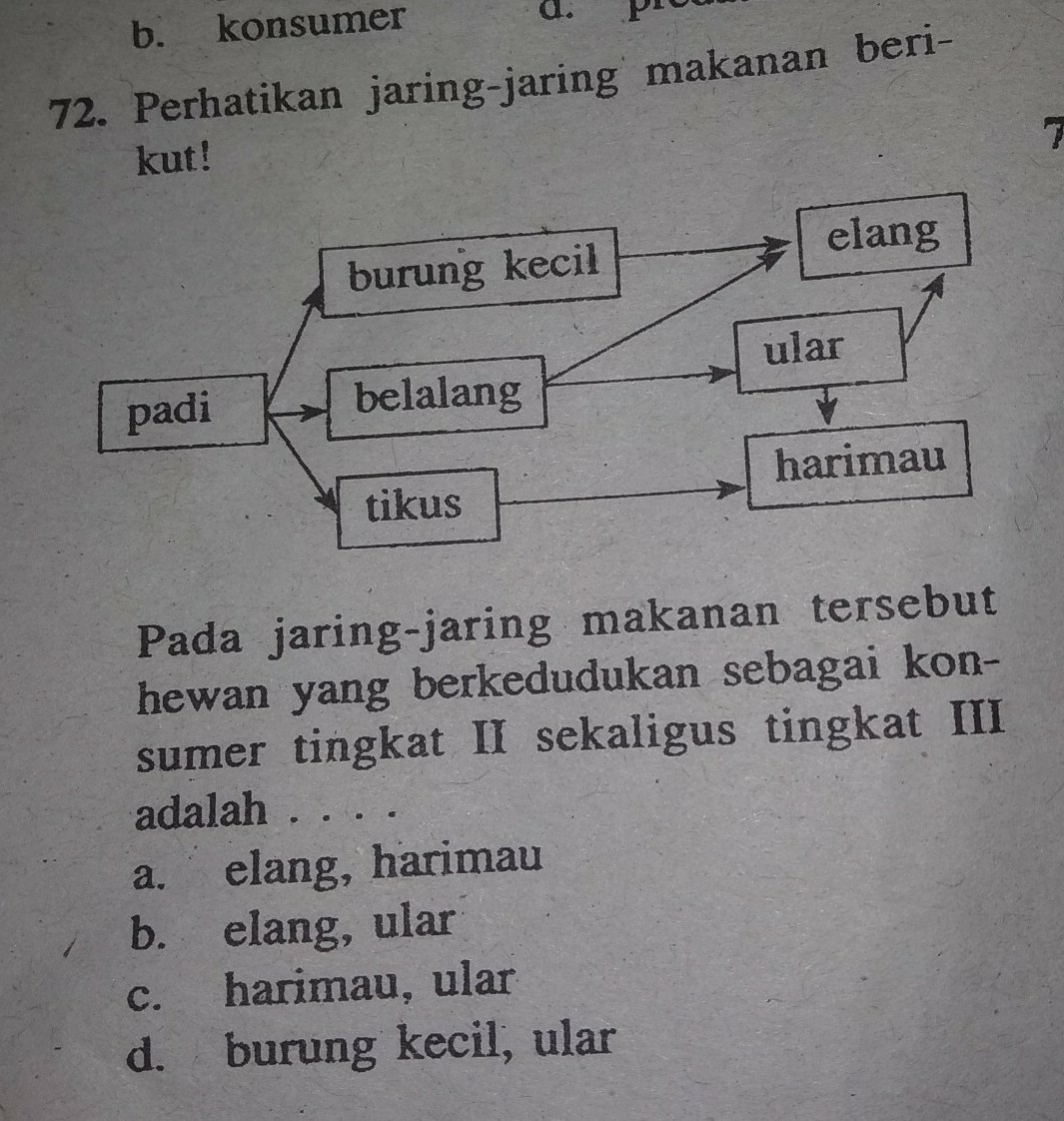 Detail Perhatikan Gambar Jaring Jaring Makanan Berikut Nomer 13