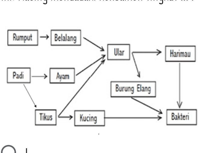 Detail Perhatikan Gambar Jaring Jaring Makanan Berikut Nomer 31