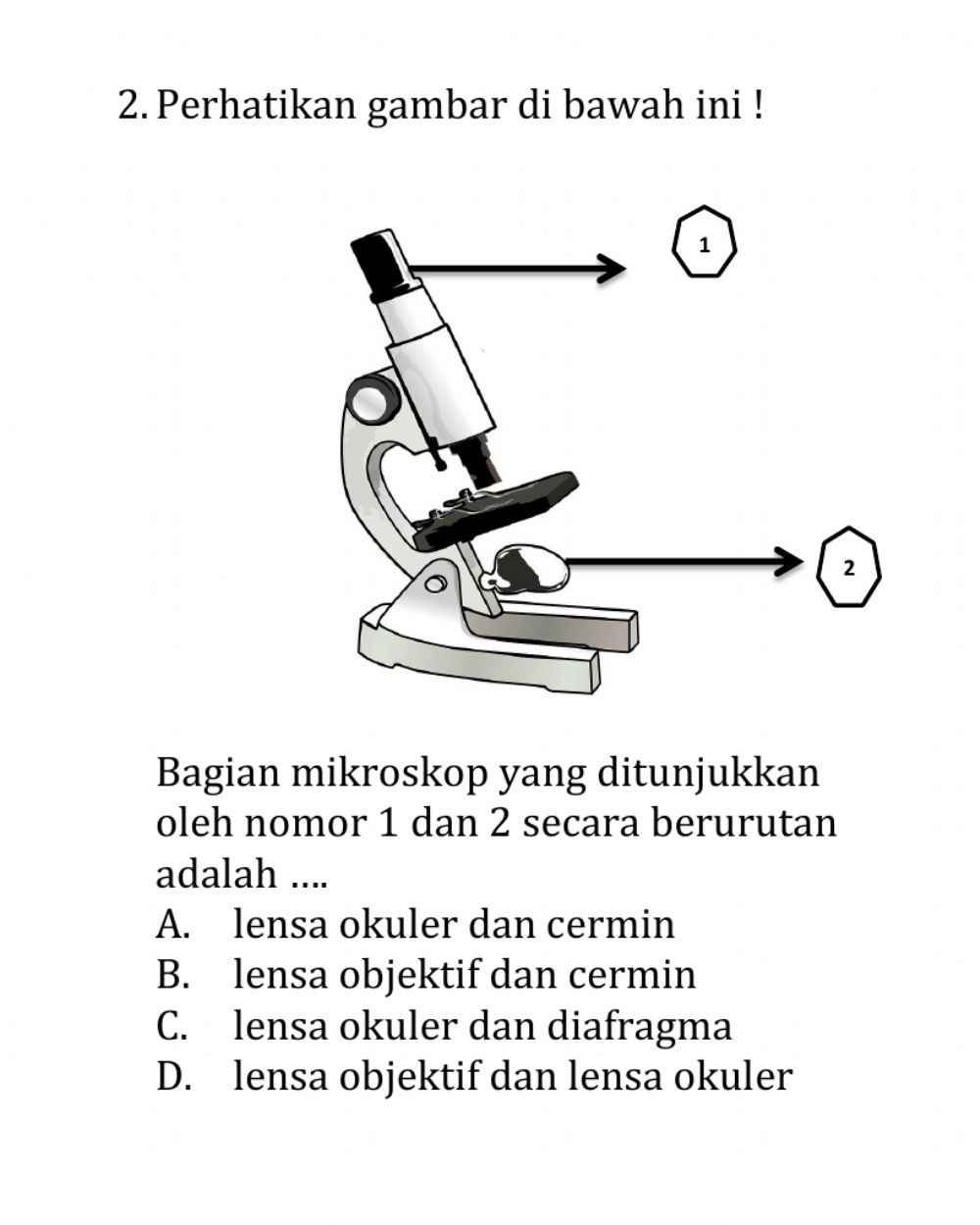 Detail Perhatikan Gambar Mikroskop Berikut Nomer 35