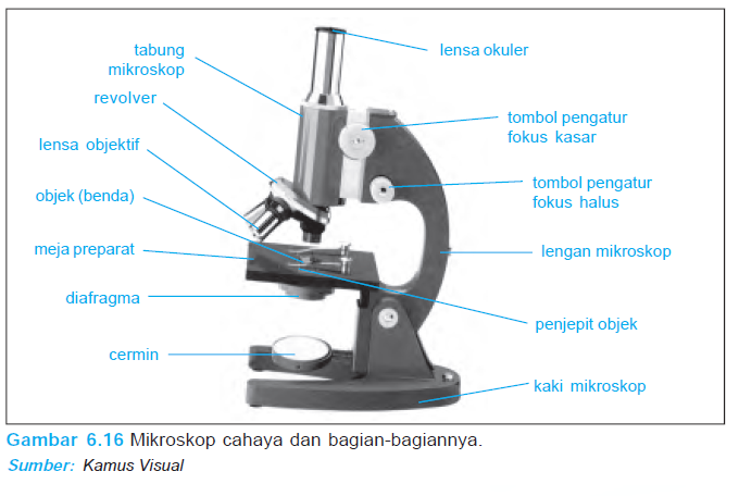 Detail Perhatikan Gambar Mikroskop Berikut Nomer 47