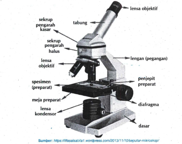 Detail Perhatikan Gambar Mikroskop Berikut Nomer 7