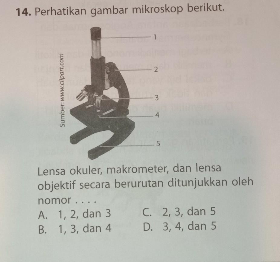 Detail Perhatikan Gambar Mikroskop Berikut Nomer 9