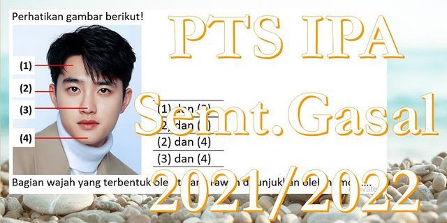 Detail Perhatikan Gambar Persendian Berikut Nomer 27