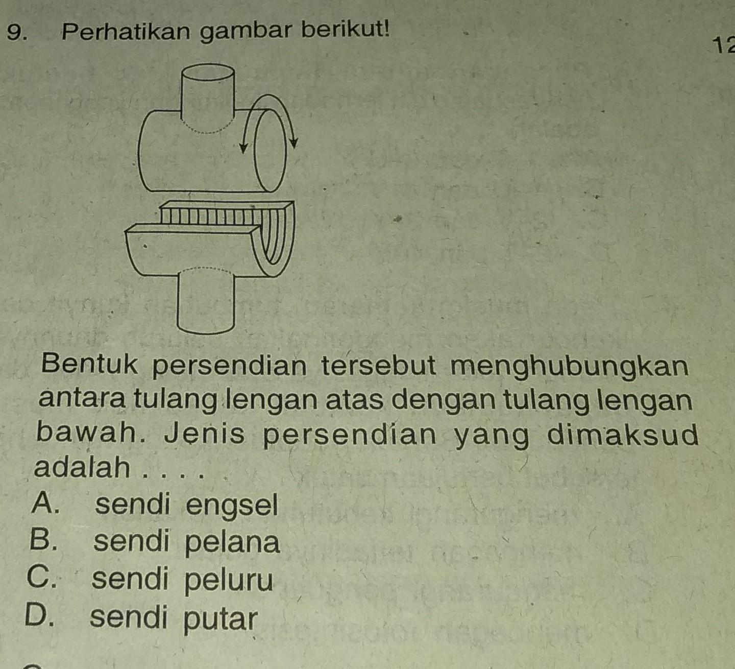 Detail Perhatikan Gambar Persendian Berikut Nomer 9