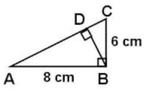 Detail Perhatikan Gambar Segitiga Abc Di Bawah Ini Nomer 20