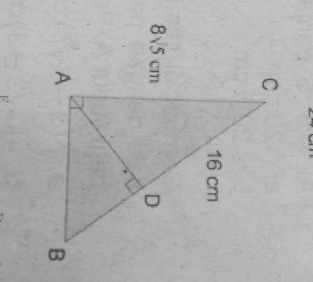 Detail Perhatikan Gambar Segitiga Siku Siku Abc Nomer 16