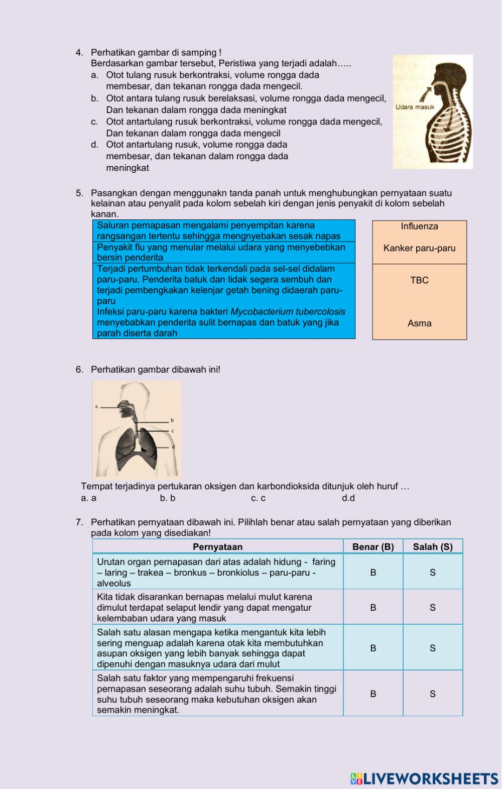 Detail Perhatikan Gambar Sel Bakteri Disamping Nomer 26