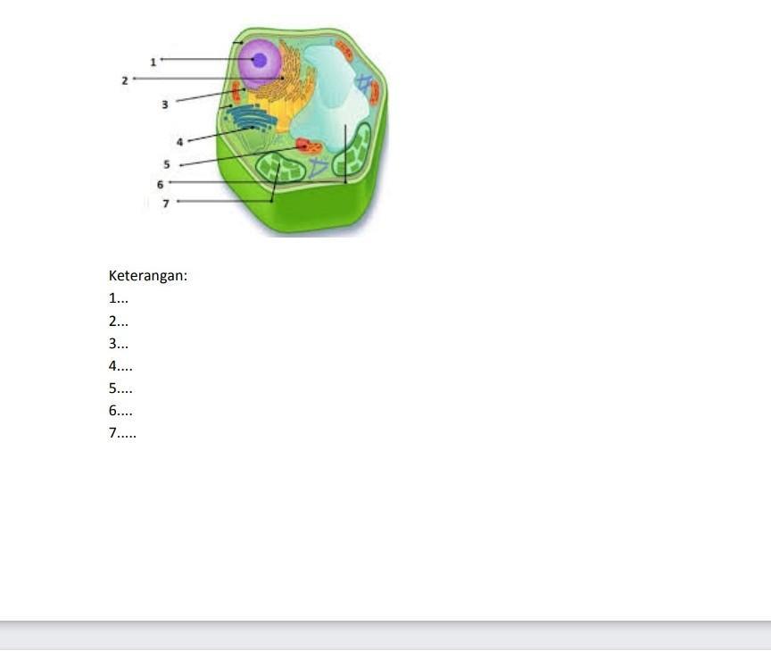 Detail Perhatikan Gambar Sel Tumbuhan Berikut Nomer 27