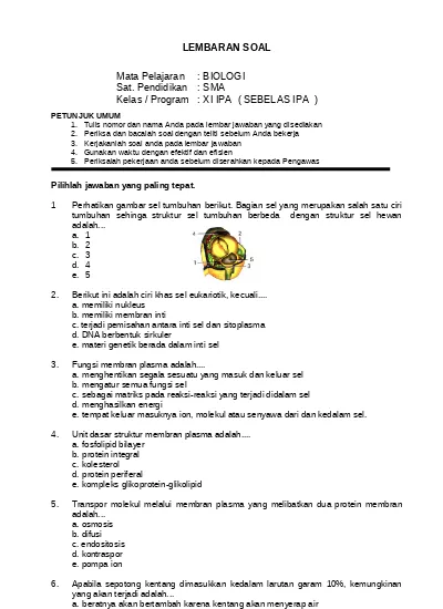 Detail Perhatikan Gambar Sel Tumbuhan Berikut Nomer 52