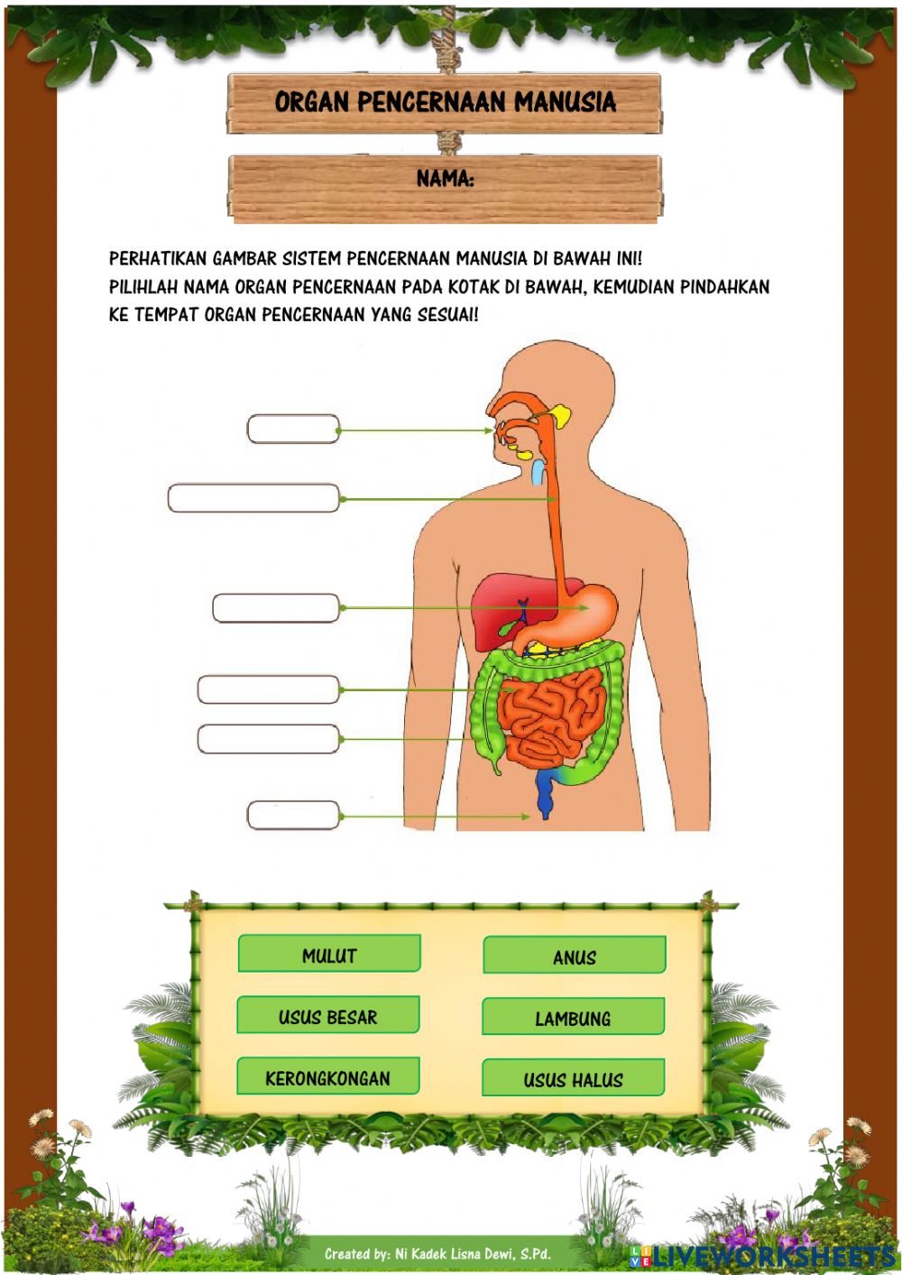 Detail Perhatikan Gambar Sistem Pencernaan Di Bawah Ini Nomer 35