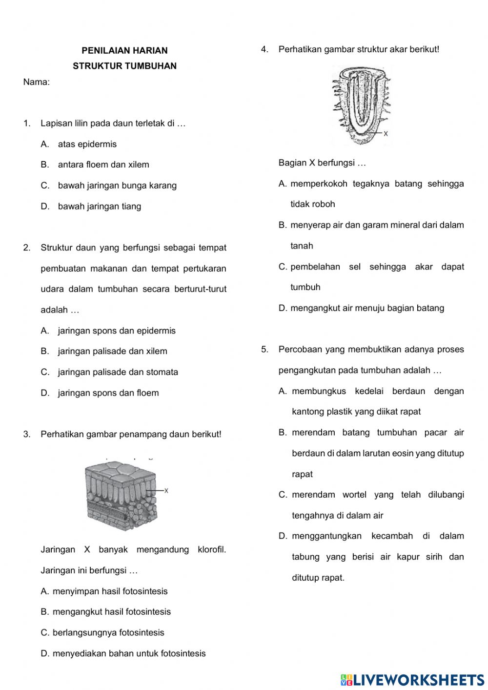 Detail Perhatikan Gambar Susunan Sel Sel Daun Nomer 20