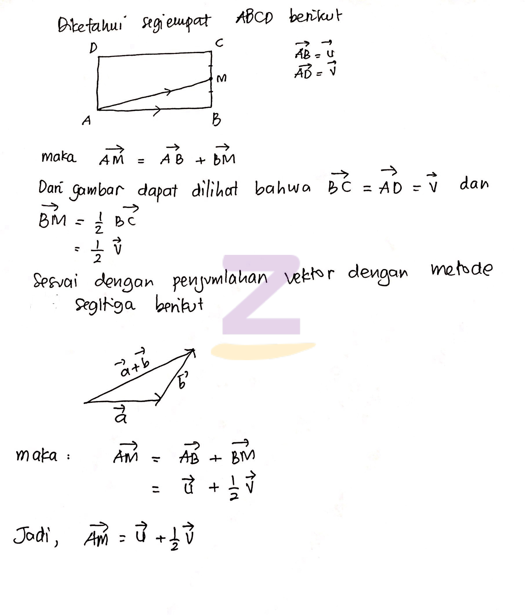 Detail Persegi Panjang Vektor Nomer 24