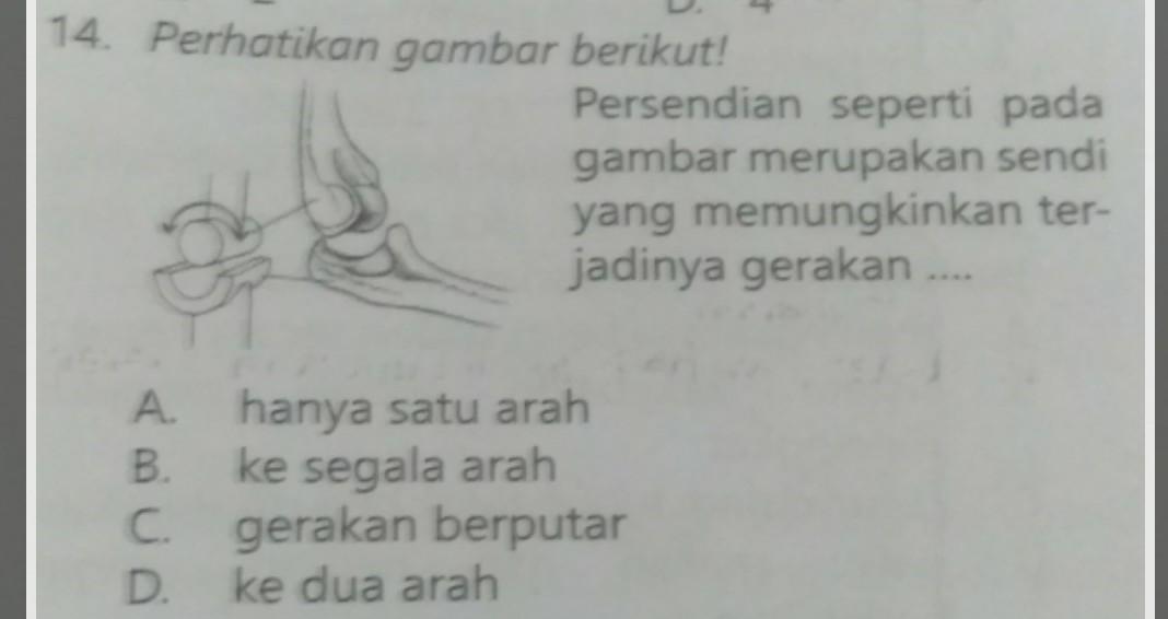 Detail Persendian Seperti Pada Gambar Merupakan Sendi Nomer 12