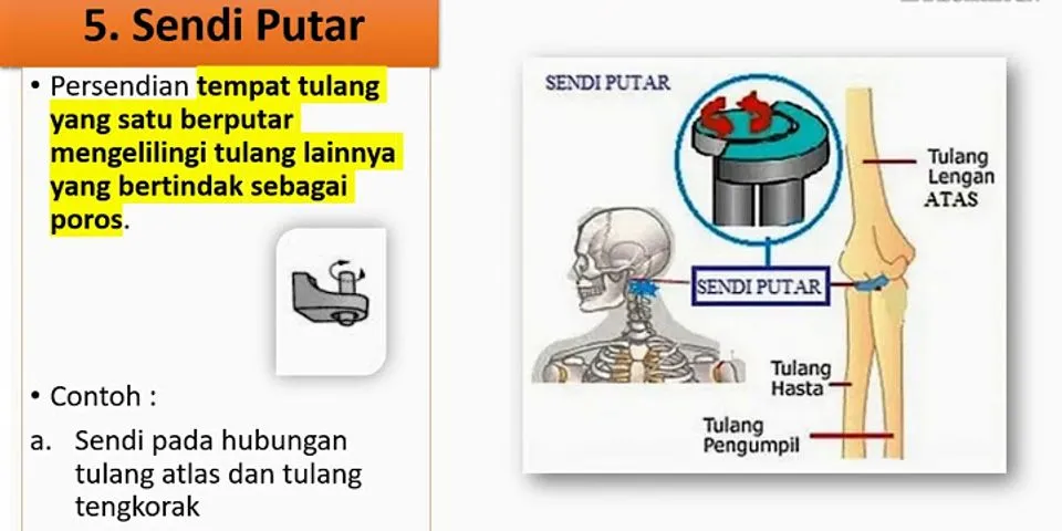 Detail Persendian Seperti Pada Gambar Merupakan Sendi Nomer 25